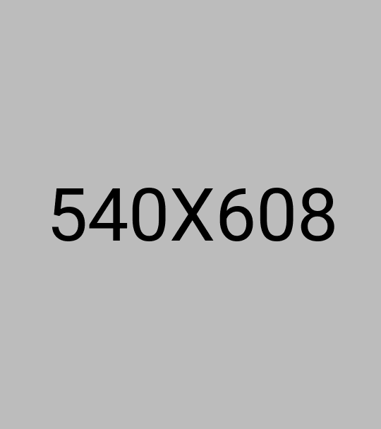Fact Image